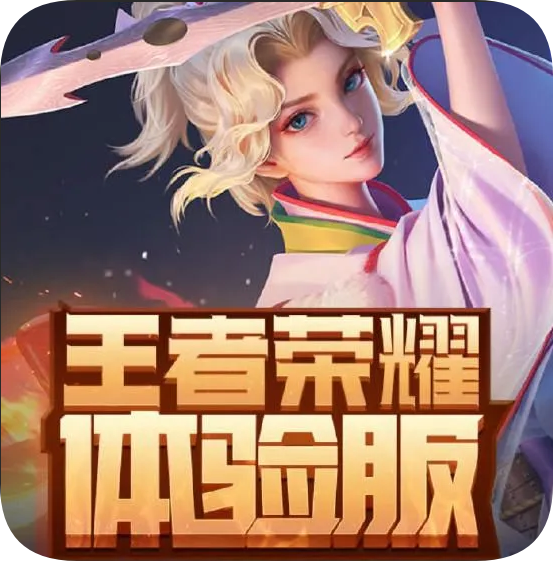王者荣耀体验服直装